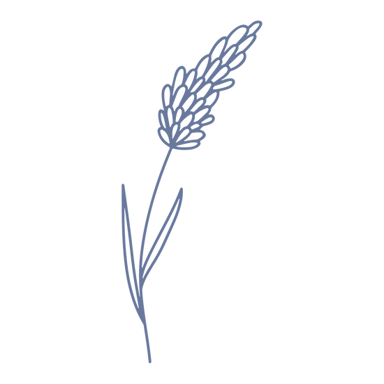 A graphic of a hand-drawn styled lavender sprig in deep lavender blue.