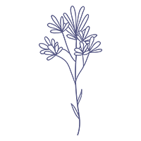 A graphic of a hand-drawn styled sprig/flower in deep lavender blue.